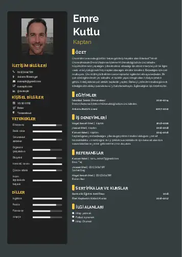cv indir